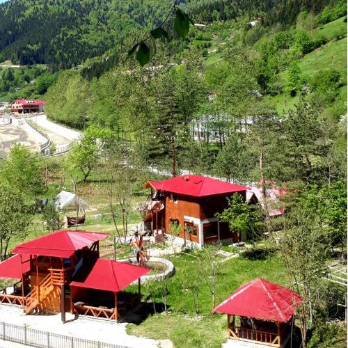 Doga ile basbasa Eko yayla