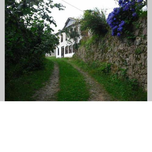 Doğa İle İç İçe Harika Bir Tatil