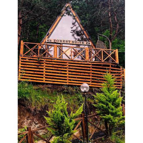 Doğa ve huzur dolu bungalov