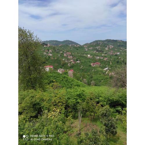 Doğal Köy Evi