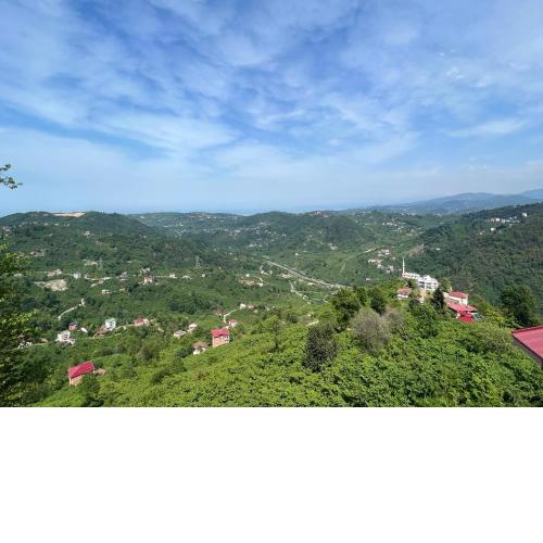 Doğayla Dolu Ev