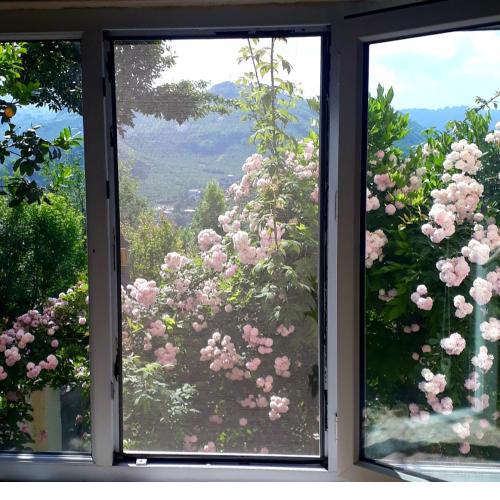 Doğayla içiçe villa