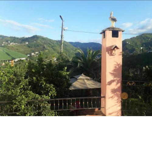 Doğayla içiçe villa