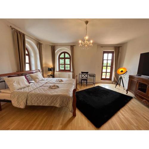Dogs Resort and Spa