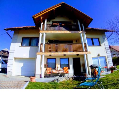 Dolenjska Vila