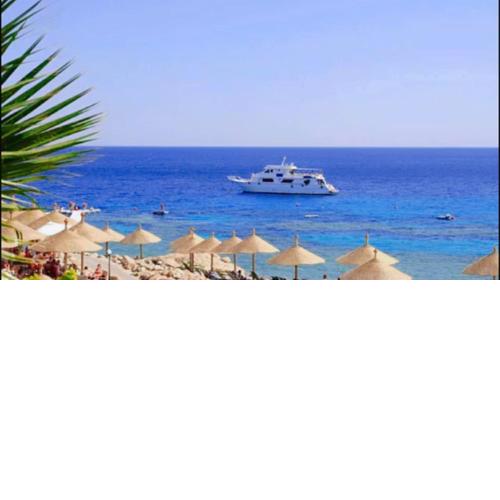 Domina Coral Bay Resort appartament