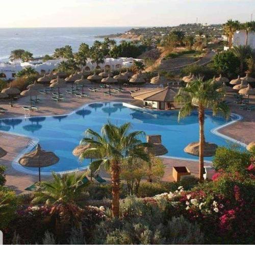 Domina Coral Bay Resort Studio - Sharm El Sheikh