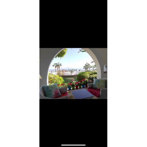 Domina coral bay