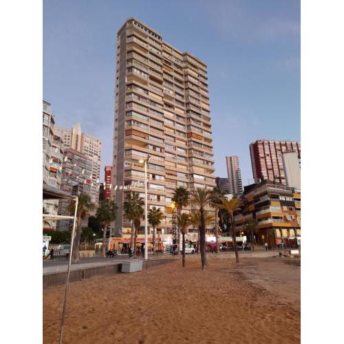 Don Miguel 1-Fincas Benidorm