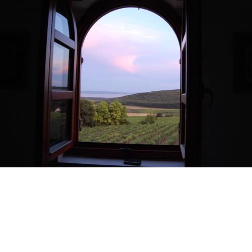 Dorgicse Vista