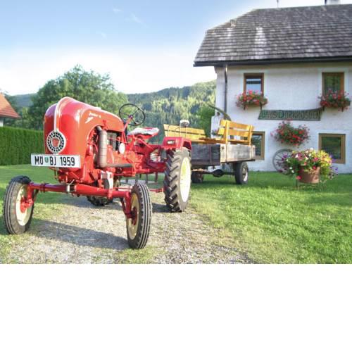 Dornröschen