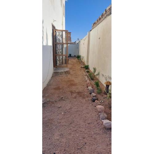 Downtown apartment (shared garden)