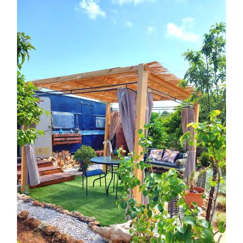 Dream Tiny House or Luxus Tent with pool