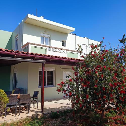 Drosoula house 3bdr 450 sqm yard
