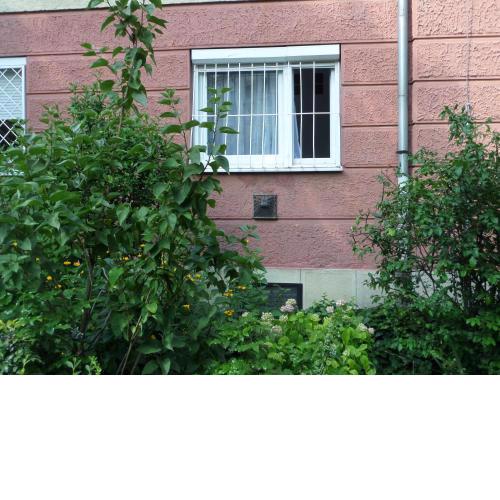 DRS apartment, fully renovated flat
