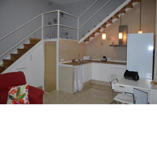 Duplex Daises