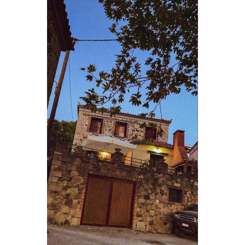 ΑΝeΜΙ