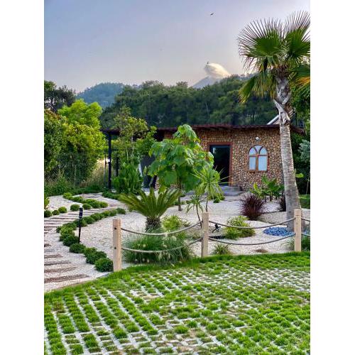 Eco Garden House