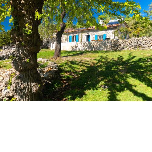 Eco house Picik