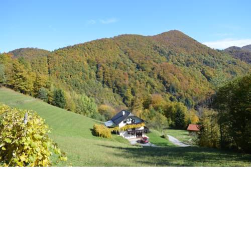 Eco-house Zivljenje na visokem