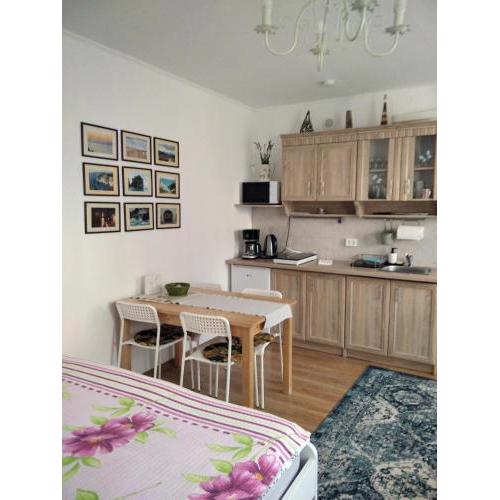 ECO-LUX APART with free parking and bicycles