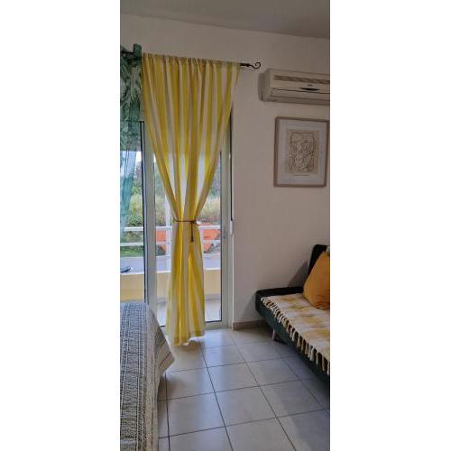 ECO SUNSHINE STUDIO