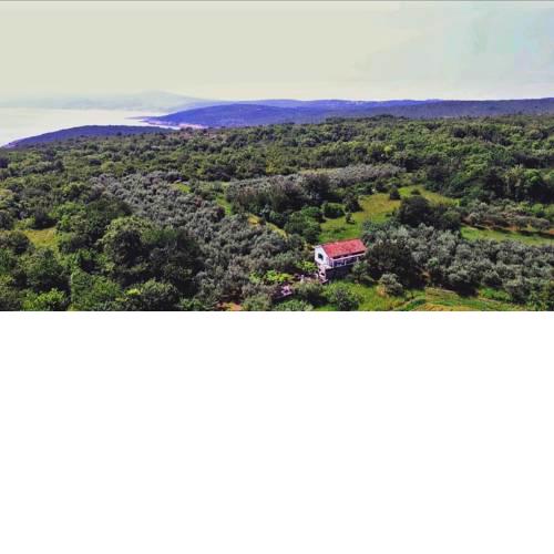 Ecohouse Oliveglia