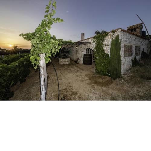 Ecological Vineyard House