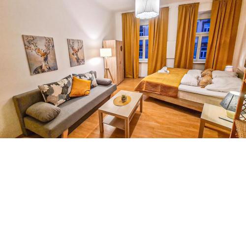 Economy Apartment well connected to the whole city