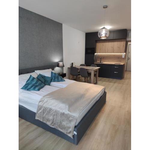 Edison Villa 115
