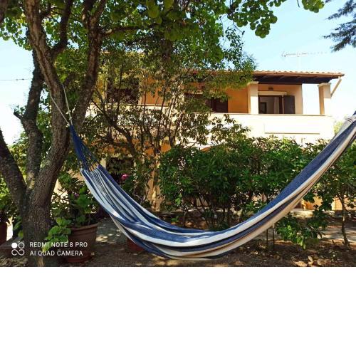 Ektora's House