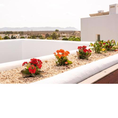 El balcón del Cabo
