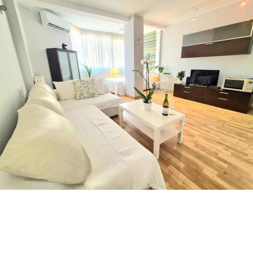 El Mono de Torre del Mar Eco Apartment with Swimming Pool
