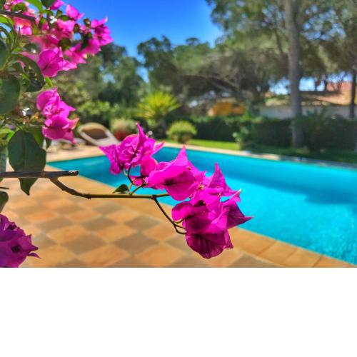 El Nácar Bed & Breakfast