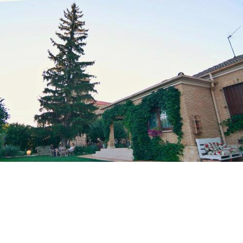El Quinto Pino
