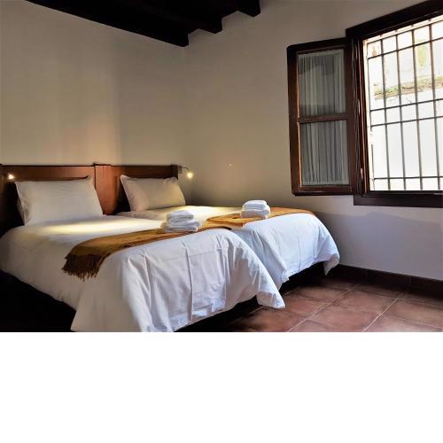 El Rey Zagal apartament Granada
