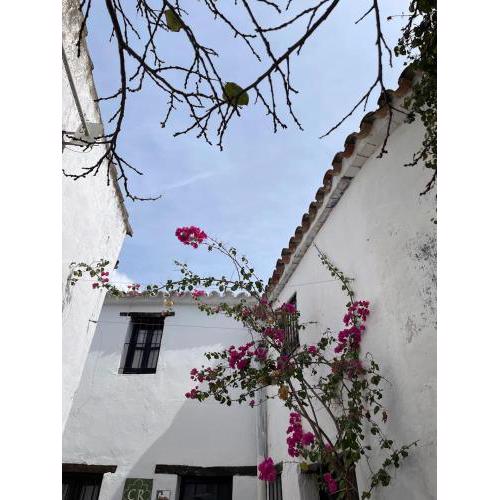 EL RINCON DEL MARQUES