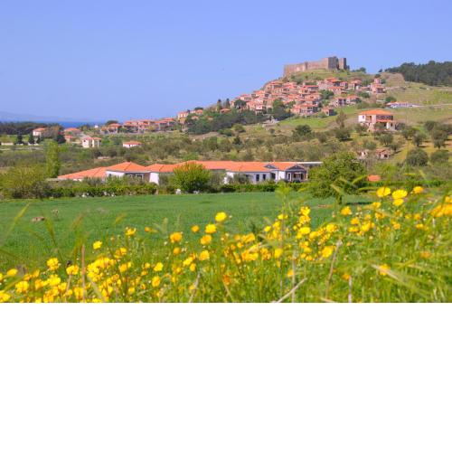 Elea Houses