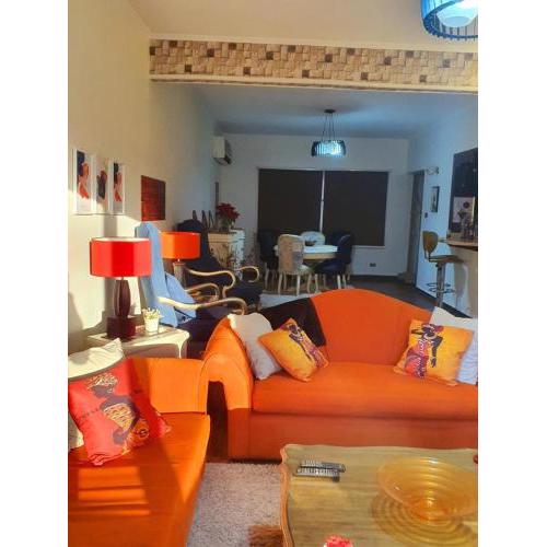 Elegant apartment in zamalek