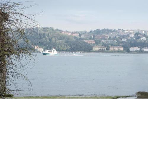Elegant Flat Close to Istinye Coast in Yenikoy