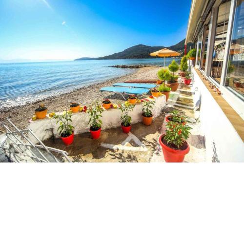 Elena Beach Apartment