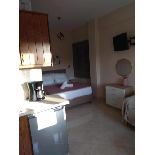 Elena Roza Apartment