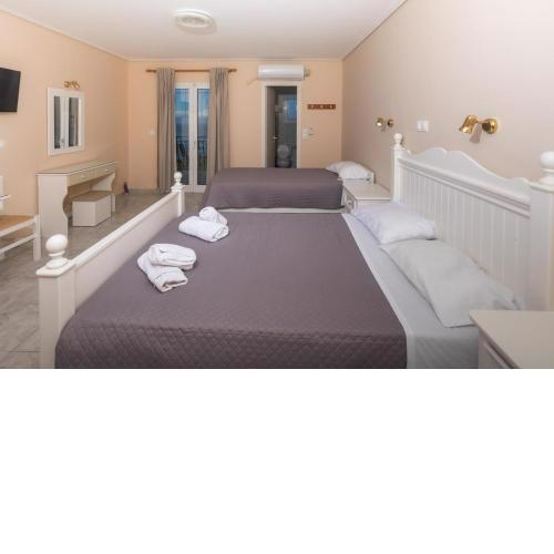 eleni studios