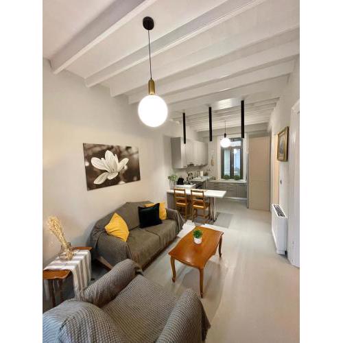 Elia downtown eco house