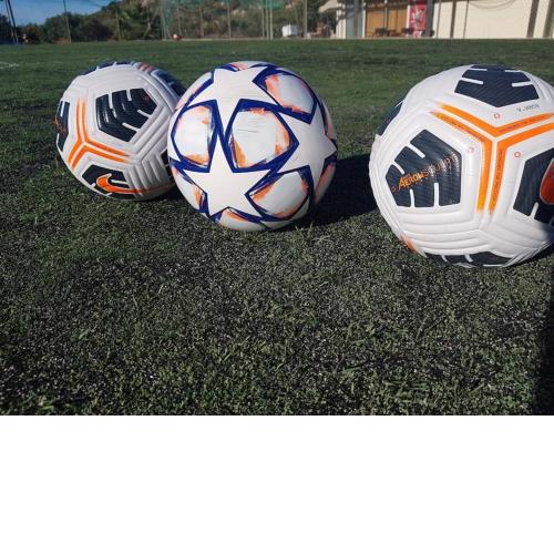 Elisavet sports villa