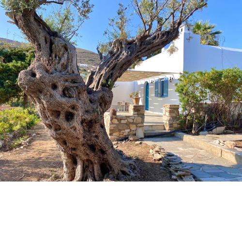 Elitas Lodge: Cosy Cycladic home outside Paroikia