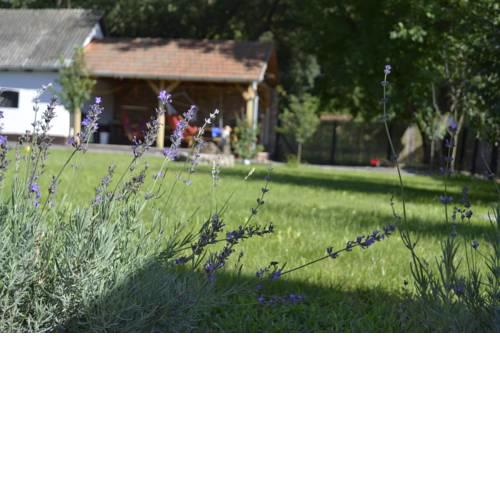 Elizabeth Cottage Benczúrfalva