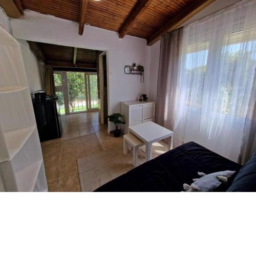 Elmy houses v3 / Clio