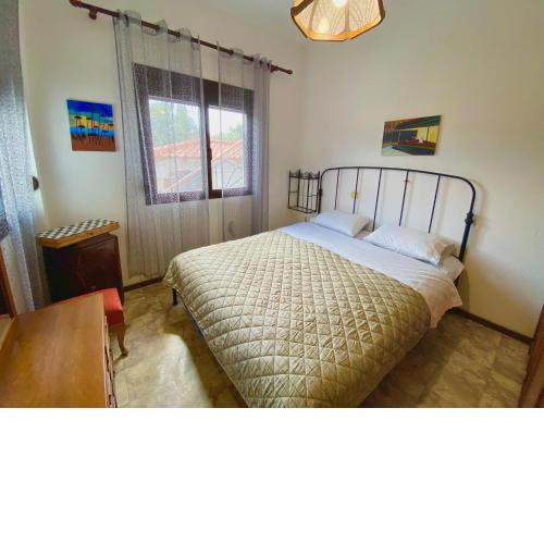 Emerald apartment