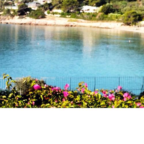 Endless Seaview